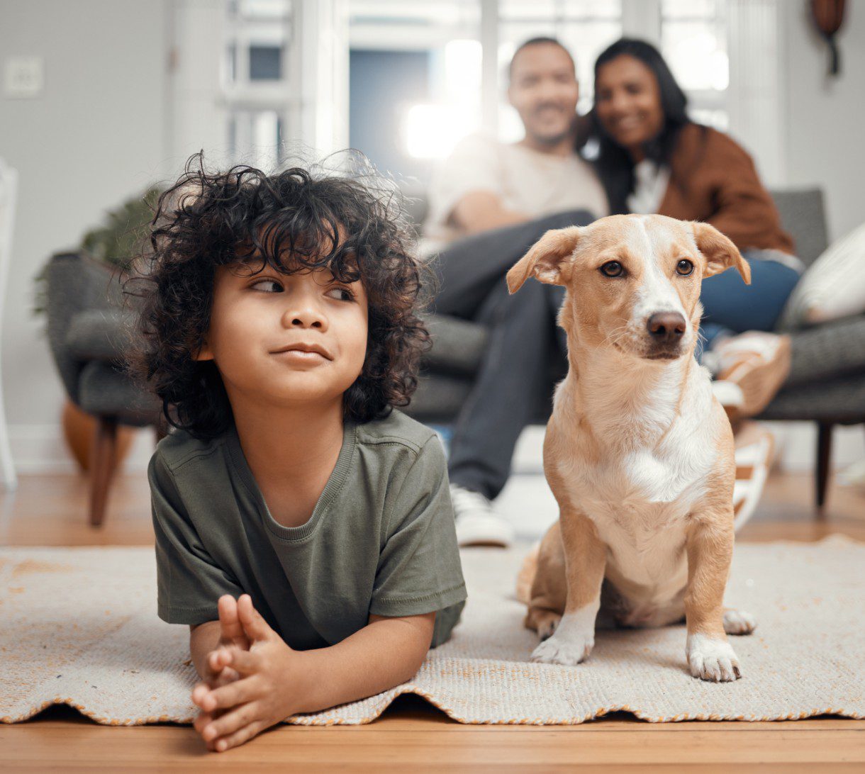 Child and dog on rug, parents blurred background.